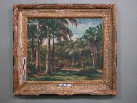 藏品(無題(植物園))的圖片